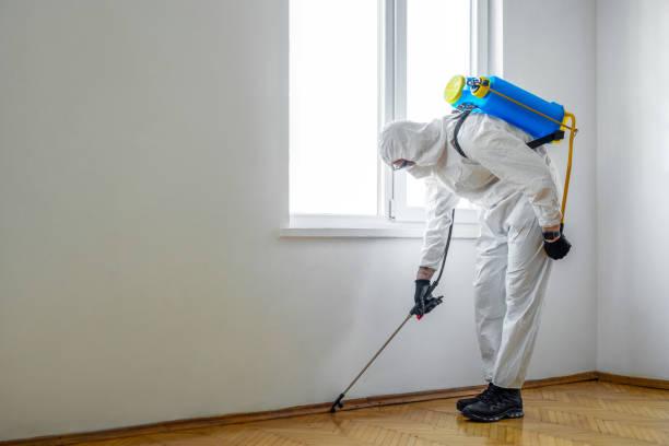 Best Pest Prevention Services  in Bardstown, KY